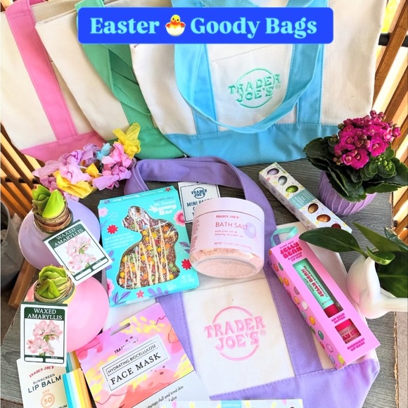 Trader Joe's Mini Blue Pastel Canvas Tote Bag NWT - Picture 2 of 4